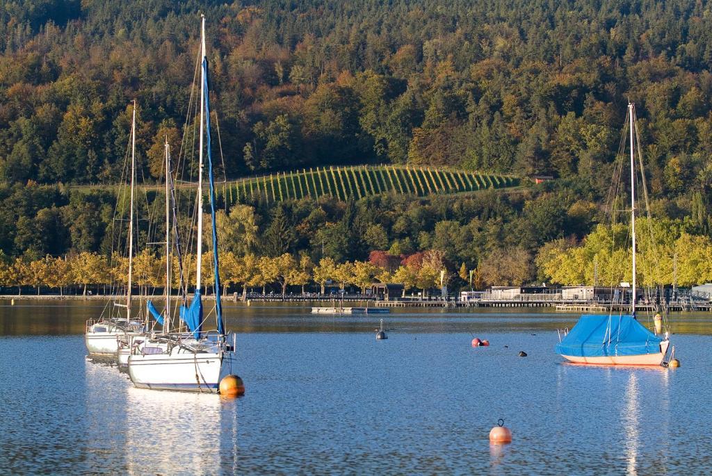 Hotel Geyer Klagenfurt am Woerthersee Exteriér fotografie